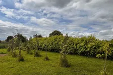 Monyash Road, Over Haddon, Bakewell