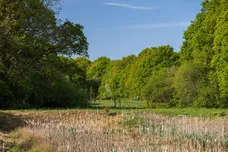 Edmondsham Road, Verwood