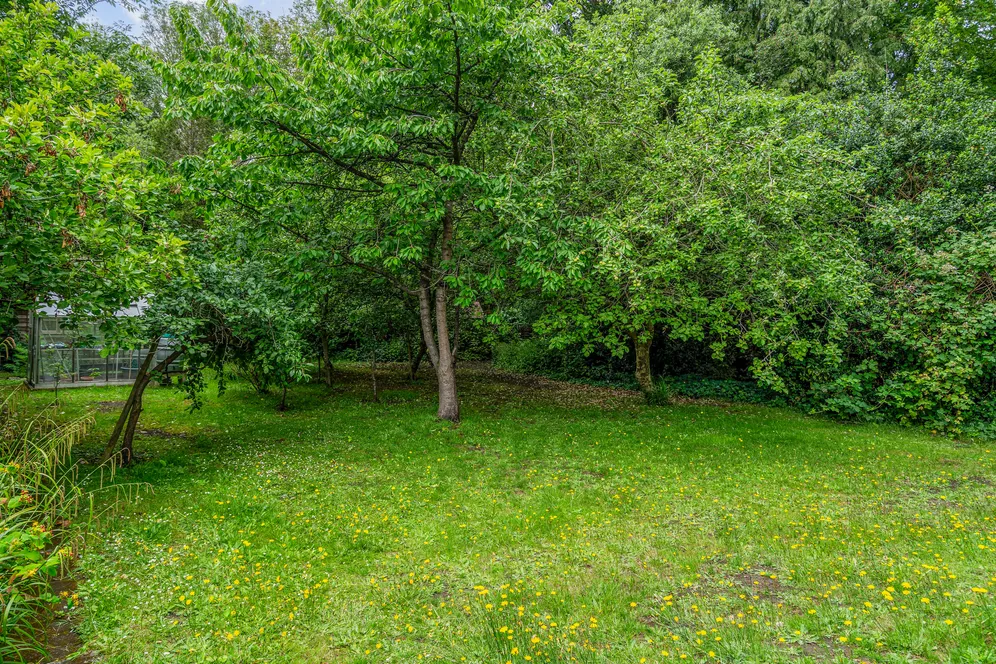 Manor Way, Blackheath, SE3 photo 37