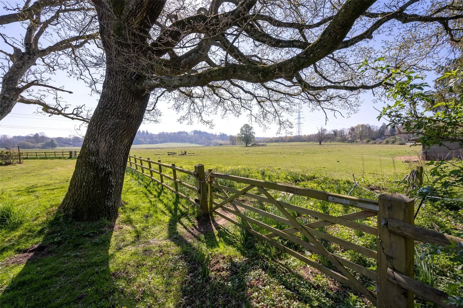 Dorchester Road, Sturminster Marshall, BH21 photo 33