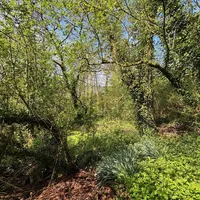 Property 24
