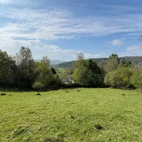 Property 25