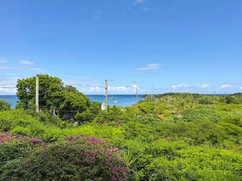 146 Mt. Welcome EA, Schooner Bay St. Croix St. Croix
