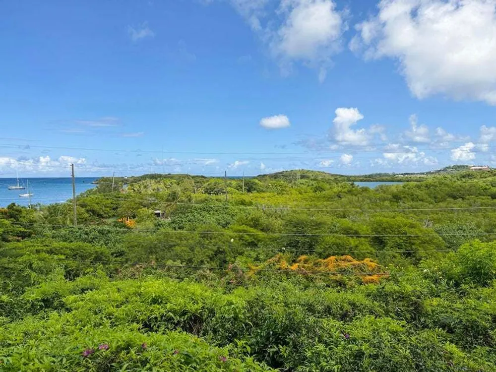 146 Mt. Welcome EA, Schooner Bay St. Croix St. Croix