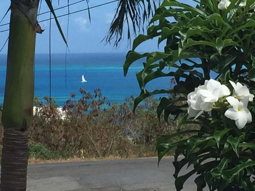 53 Cotton Valley EB St. Croix St. Croix
