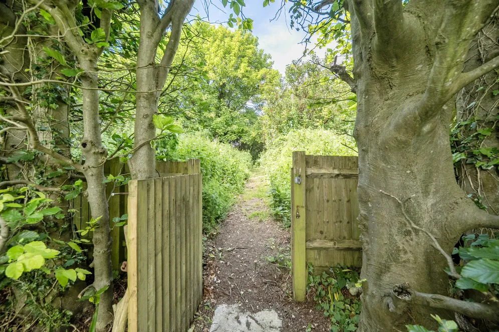 Houndean Rise, Lewes, BN7 photo 13
