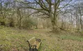 Property image gallery