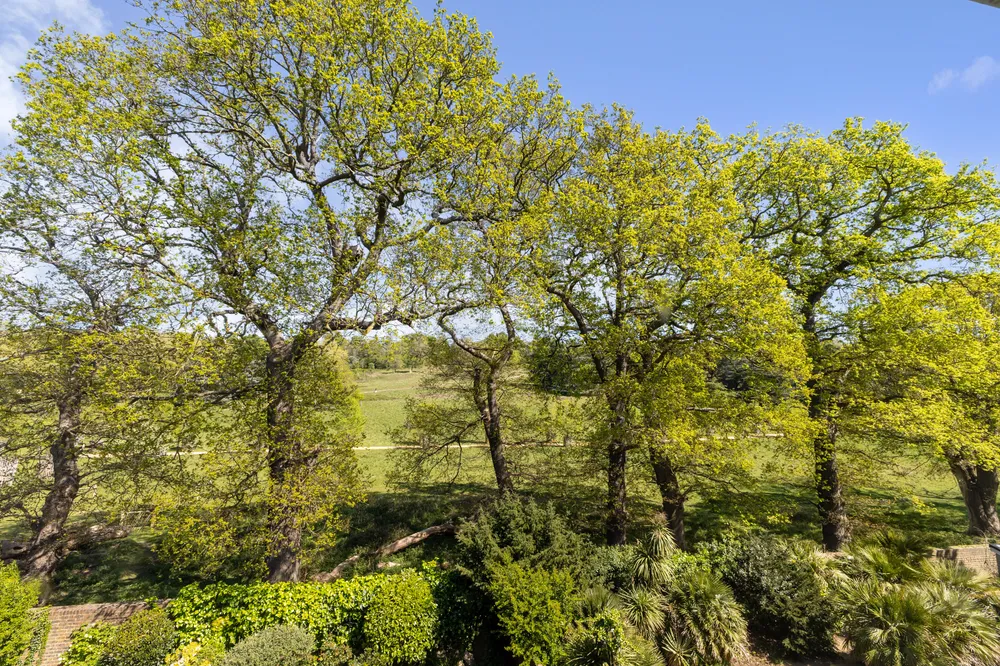 Cedar Heights, Richmond, TW10