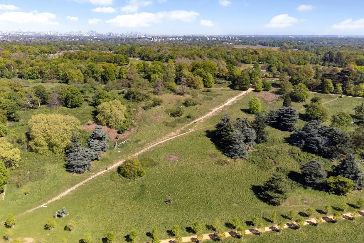 Cedar Heights, Richmond, TW10 photo 18
