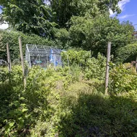 Property 24