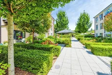 Hamilton Road, Sarisbury Green, SOUTHAMPTON