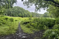 Priest Lane, West End, WOKING