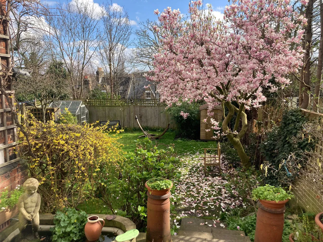 Glenluce Road, London, SE3 photo 23