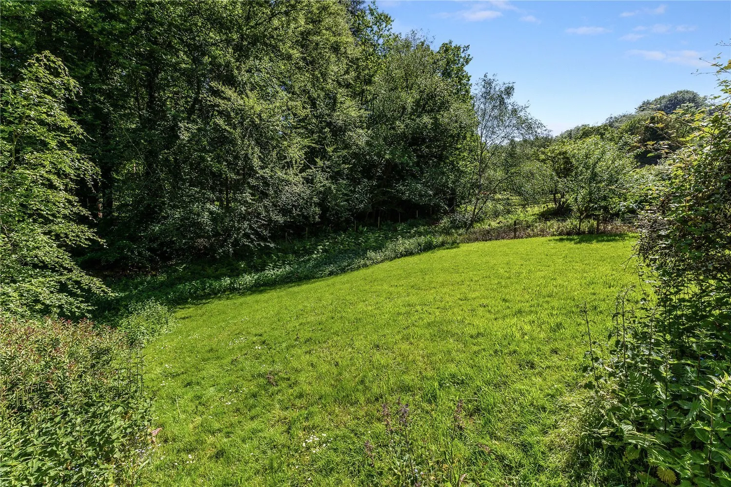 Henley, Haslemere, GU27 photo 3
