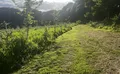 Property image gallery