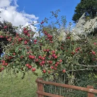 Property 26