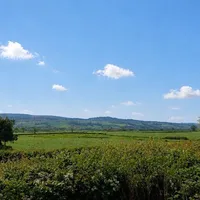 Property 31