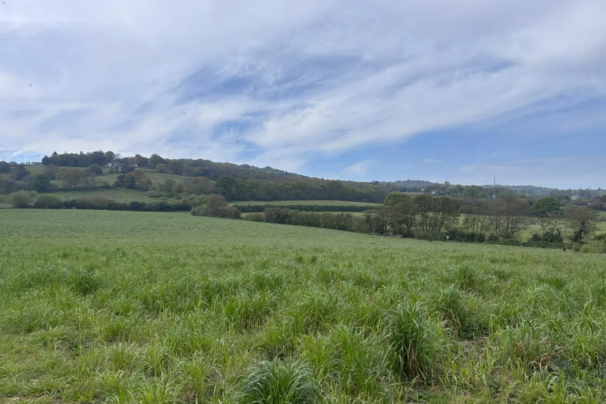 Rosemary Lane, Fairlight, Hastings