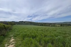 Rosemary Lane, Fairlight, Hastings