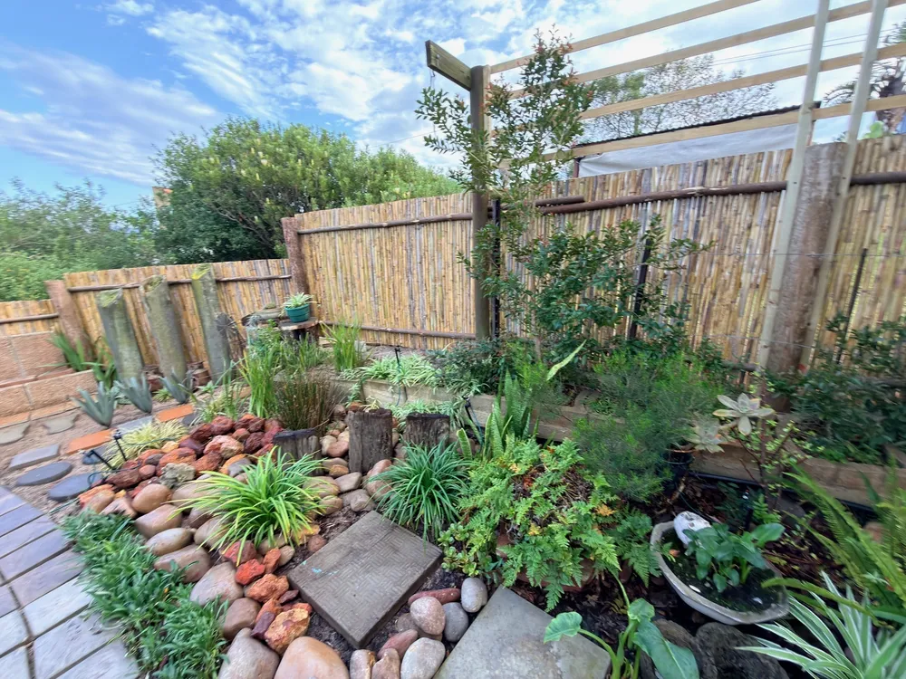 South Africa, Western Cape, Dana Bay, Flora Road, 332