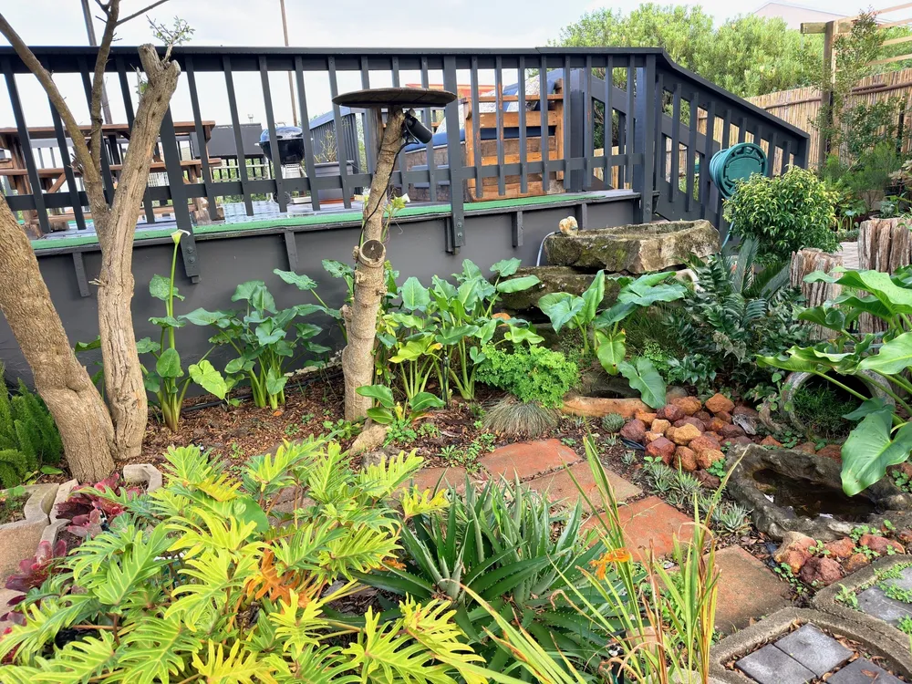 South Africa, Western Cape, Dana Bay, Flora Road, 332