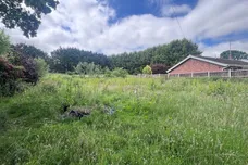 Fengate, Marsham, NORWICH