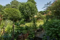 Broomhill, Ewshot, GU10 photo 14