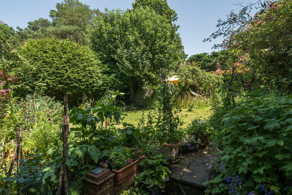 Broomhill, Ewshot, GU10 photo 14