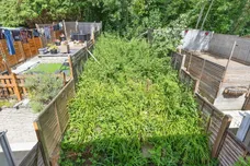 Coneyburrow Gardens, St. Leonards-On-Sea
