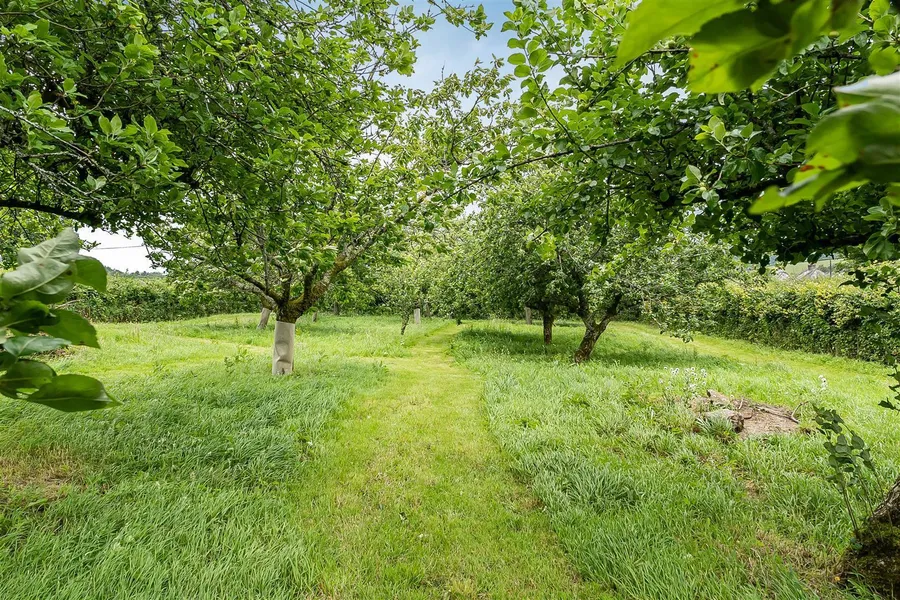 Property Image 40