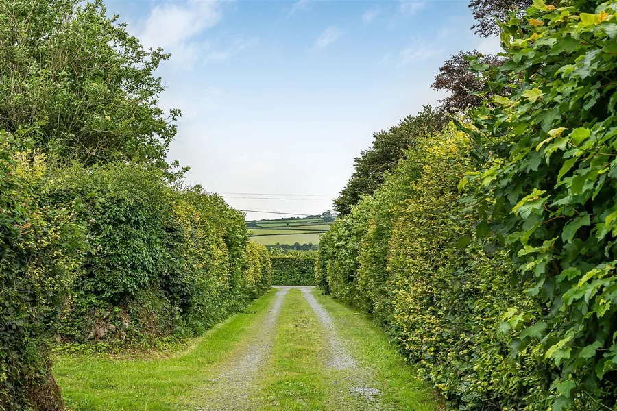 Property Image 43