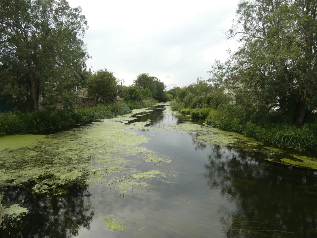 Property photo 17