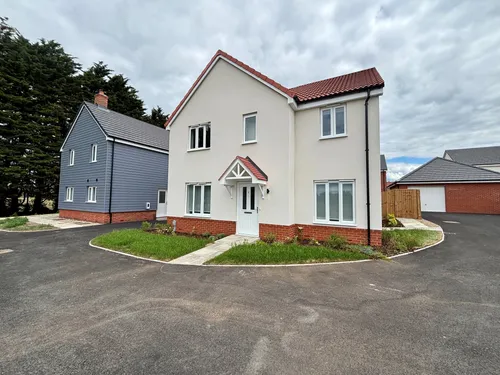Daffodil Close, Lakenheath, Brandonphoto