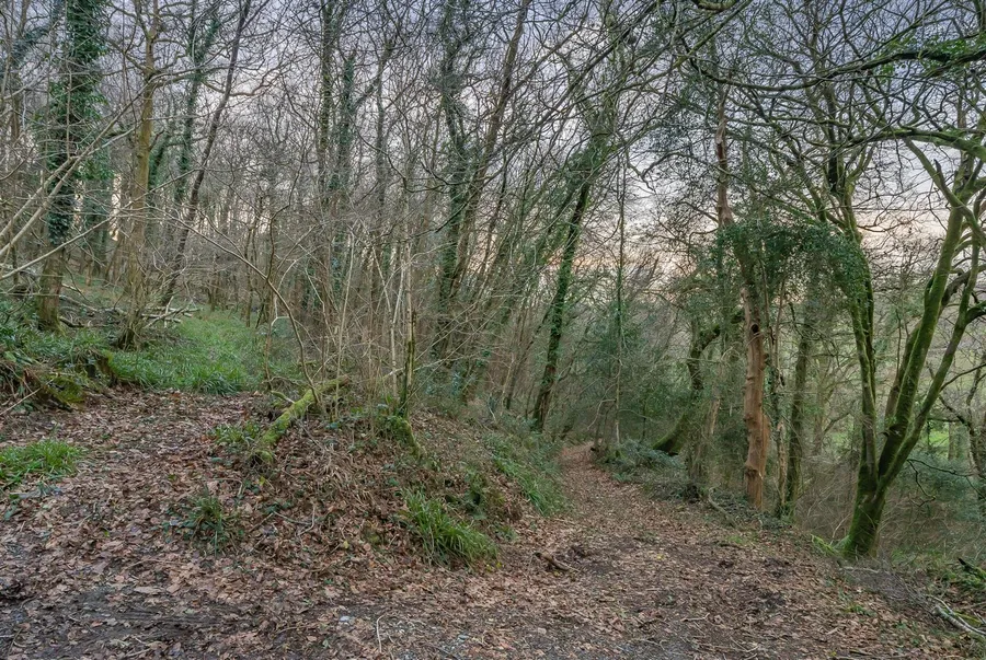 Property Image 34