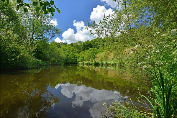 Cadeleigh, Tiverton, EX16 photo 12