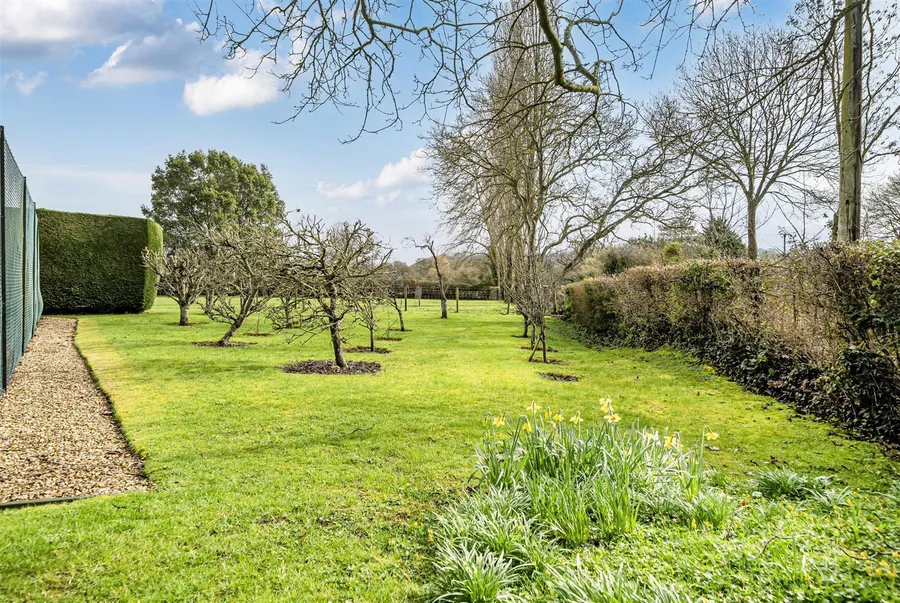 Property Image 42