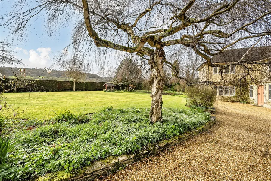 Property Image 45