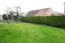 Hawthorn Chase, LINCOLN