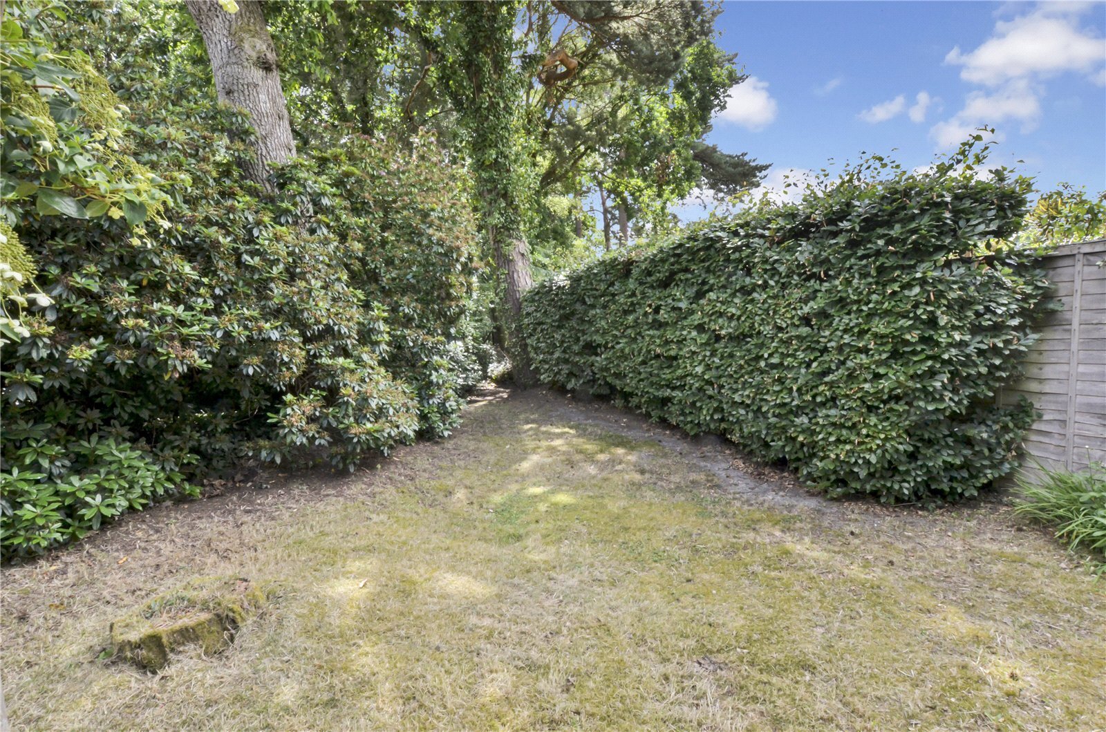 Pinehurst Road, West Moors, Ferndown, Dorset, BH22 Image 31