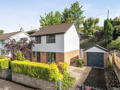 Taff Vale Estate, Edwardsville, Treharrisphoto