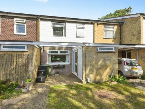 Cedar Green, Hoddesdonphoto
