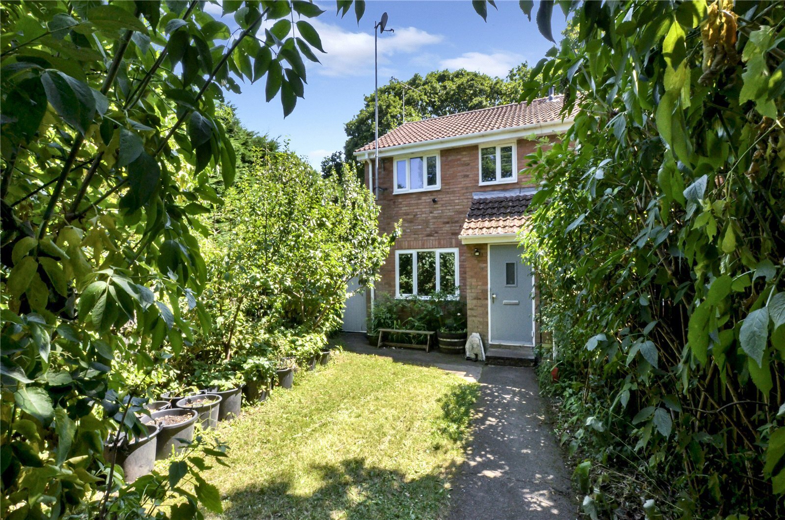 Bay Close, Three Legged Cross, Wimborne, Dorset, BH21 Image 18