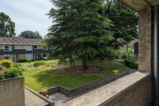 Beechbank, NORWICH