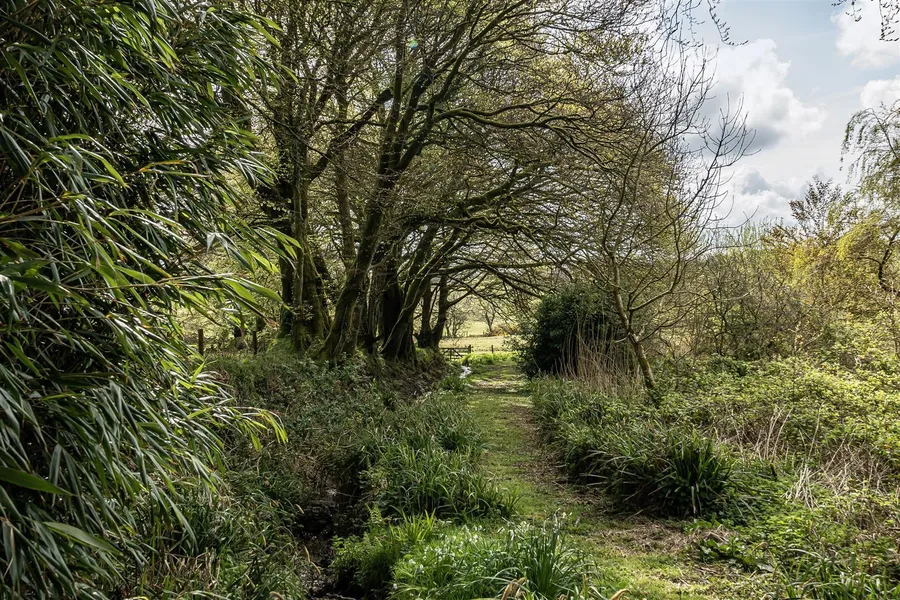 Property Image 45