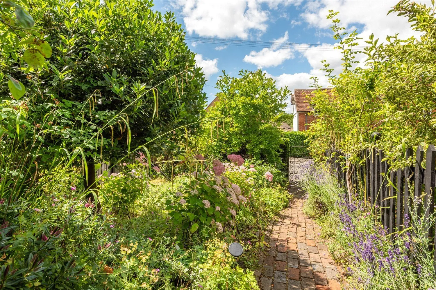 The Street, Ewhurst, GU6 photo 15