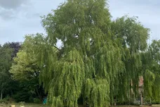 Baconsthorpe Road, Hempstead, Holt
