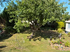 Orchard View Park, Herstmonceux, Hailsham thumb 3