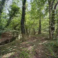 Property 22