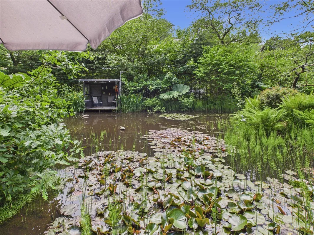 Cwmfelin Boeth - 1.75 Acre Wooded Plot