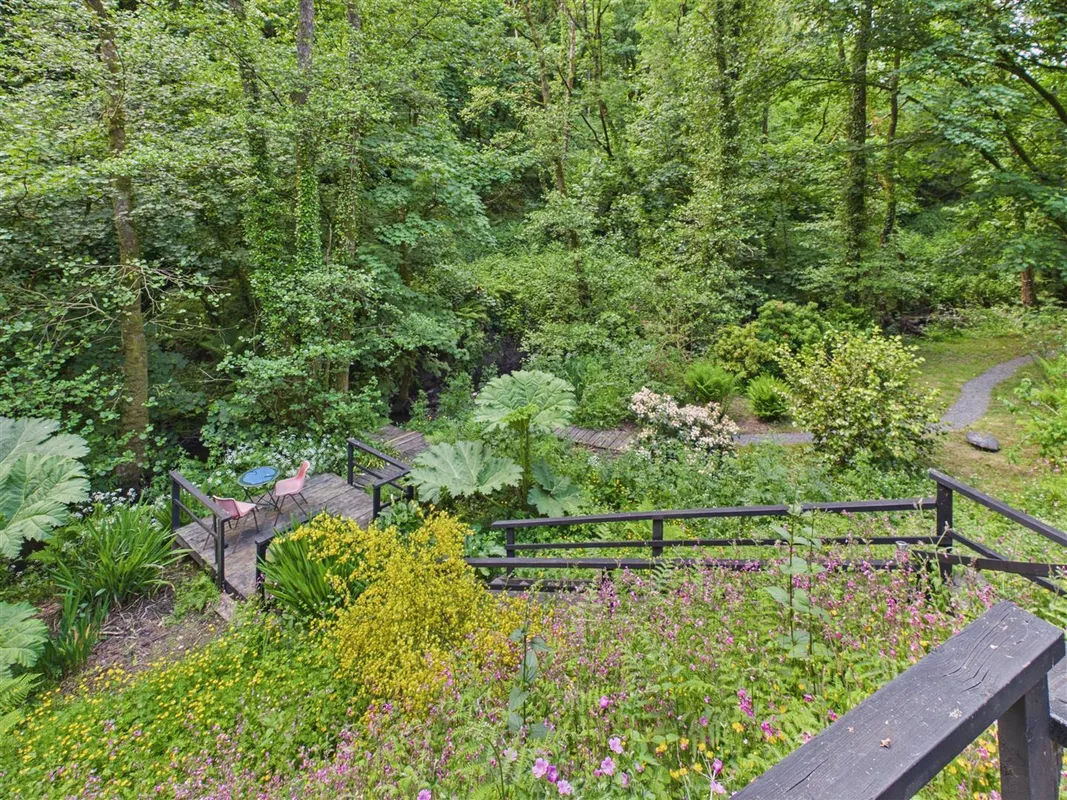 Cwmfelin Boeth - 1.75 Acre Wooded Plot